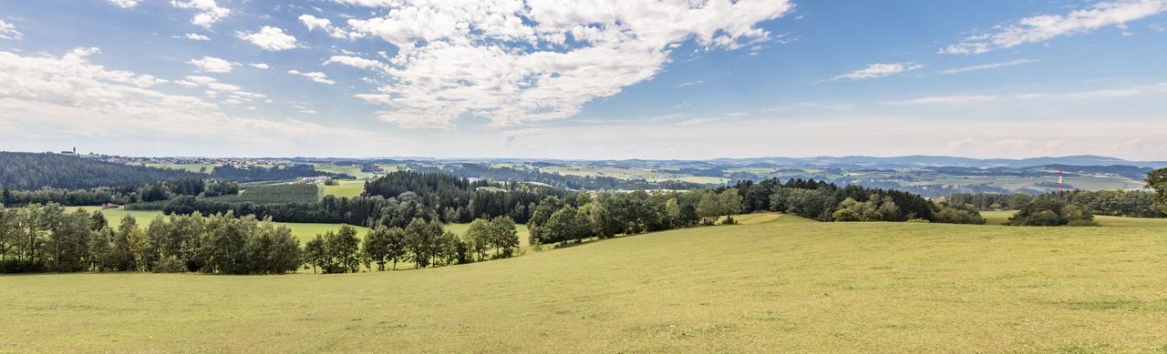 兰德迪安酒店 Haslach an der Mühl 外观 照片